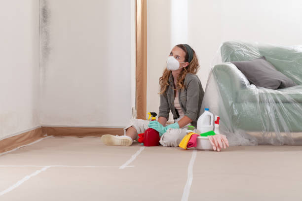 Reliable Mold Remediation contractor in Germantown, TN by WQB Mold Removal